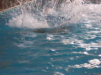 100_3306.jpg